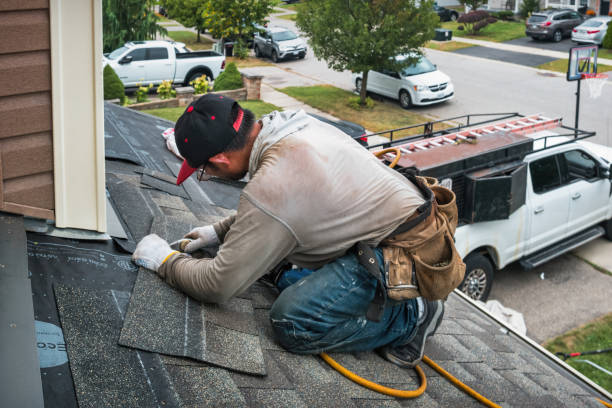 Professional Roof Inspection technician working in Interlaken, NY